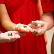 Three generations of UGA graduates, holding their class rings.