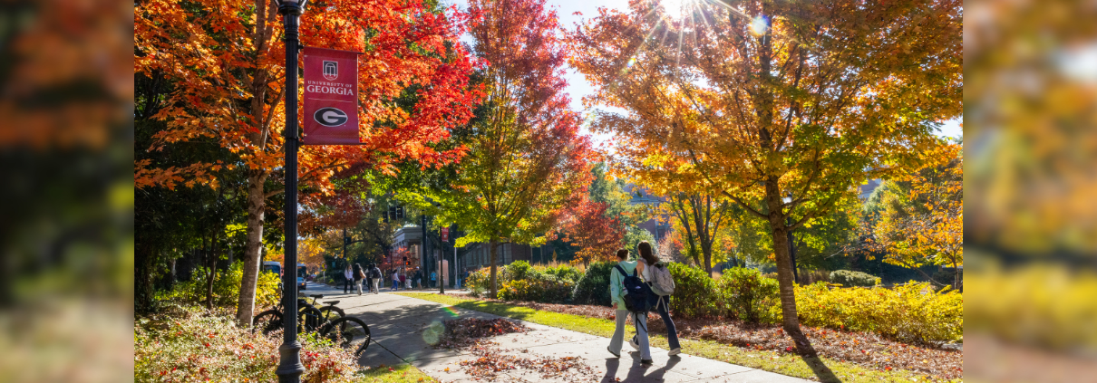Fall foliage on UGA's campus.