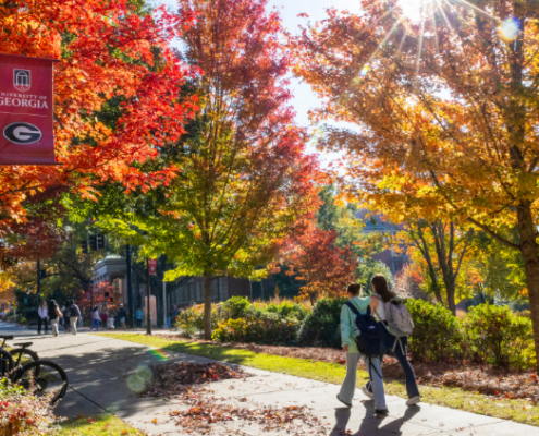 Fall foliage on UGA's campus.