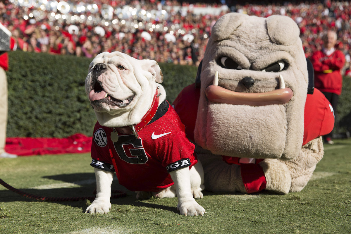 Hairy Dawg & Uga