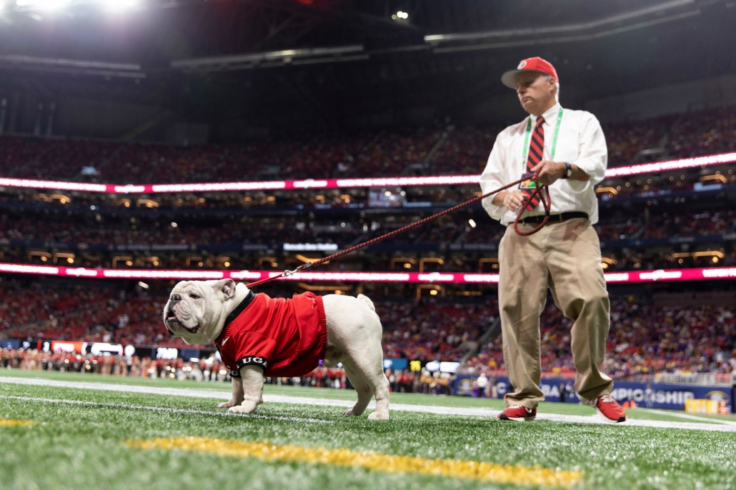 Uga in Sanford Stadium