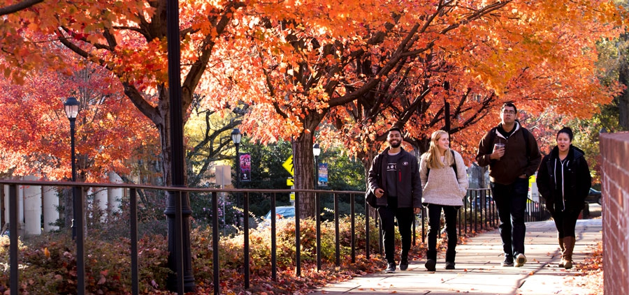 UGA Campus in Fall
