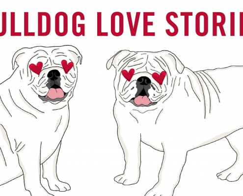 Bulldog Love Stories Graphic
