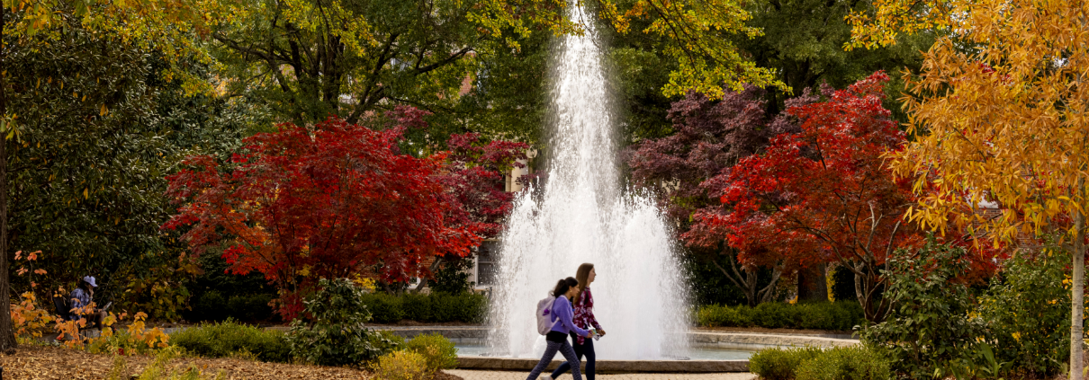 UGA Herty Field Fountain