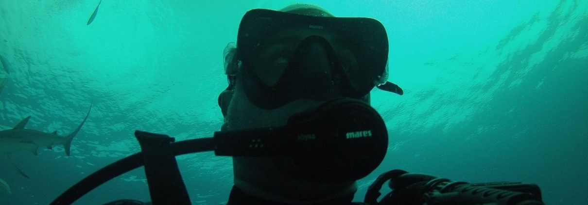 Ben Desper swims with sharks