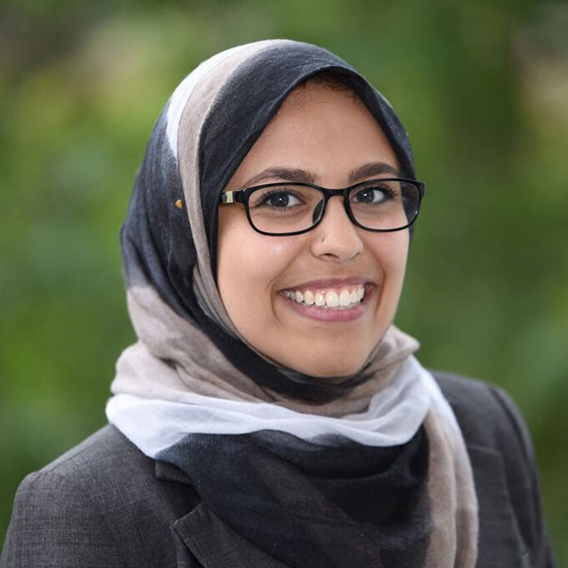 Haidi Al-Shabrawey