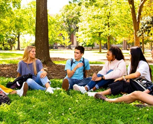 Diverse group of students chat on the lawn