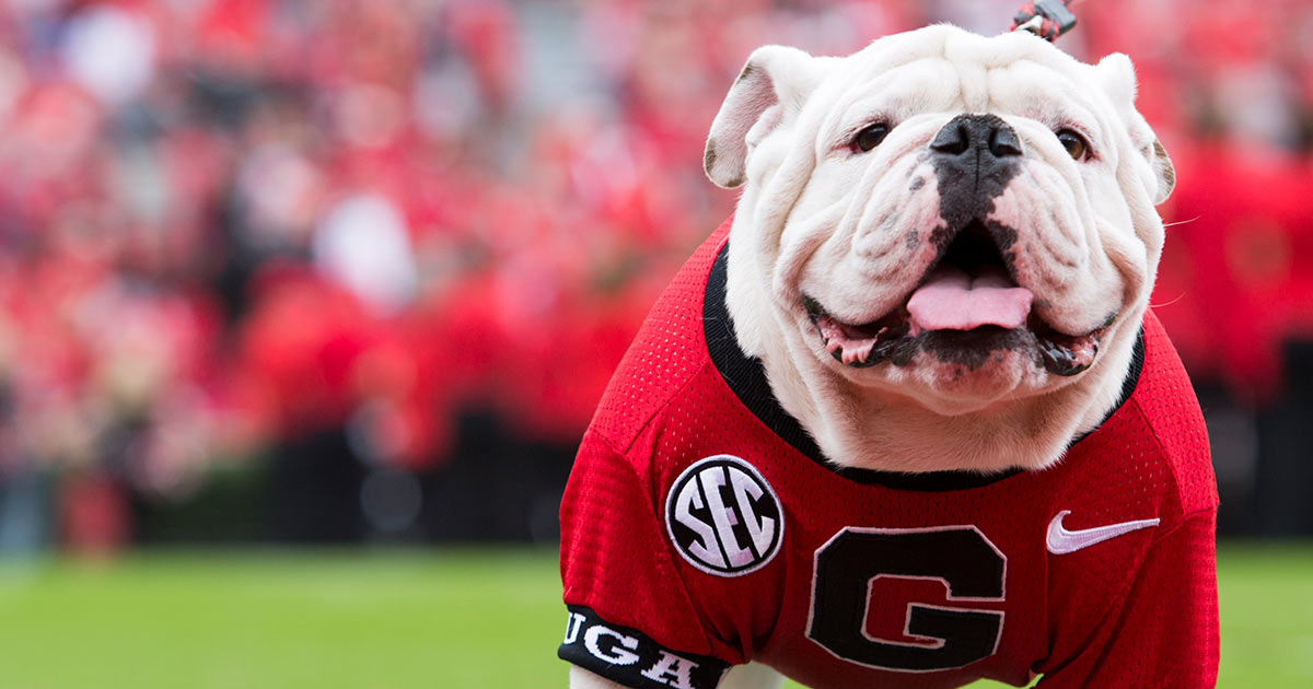 Georgia live bulldog mascot: 7 things to know about Uga 