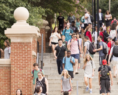 A crowd of students walking at the Baldwin Street stairs during a Summer day.