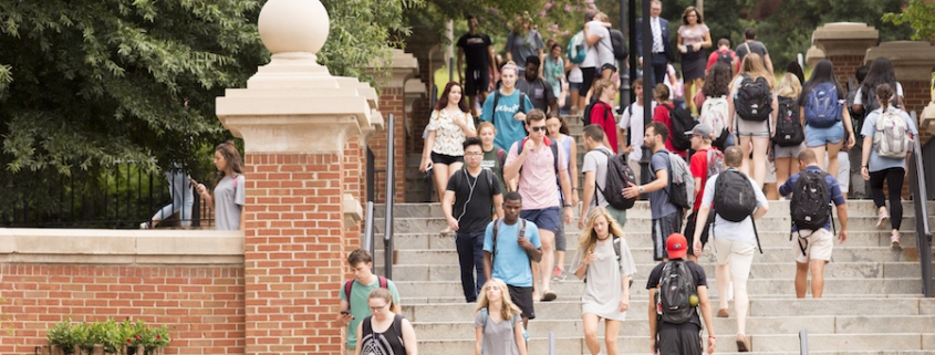 A crowd of students walking at the Baldwin Street stairs during a Summer day.