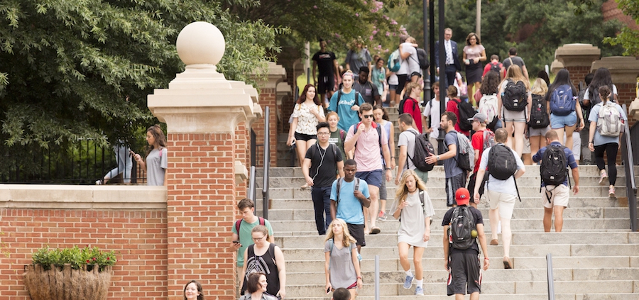 A crowd of students walking at the Baldwin Street stairs during a Summer day.
