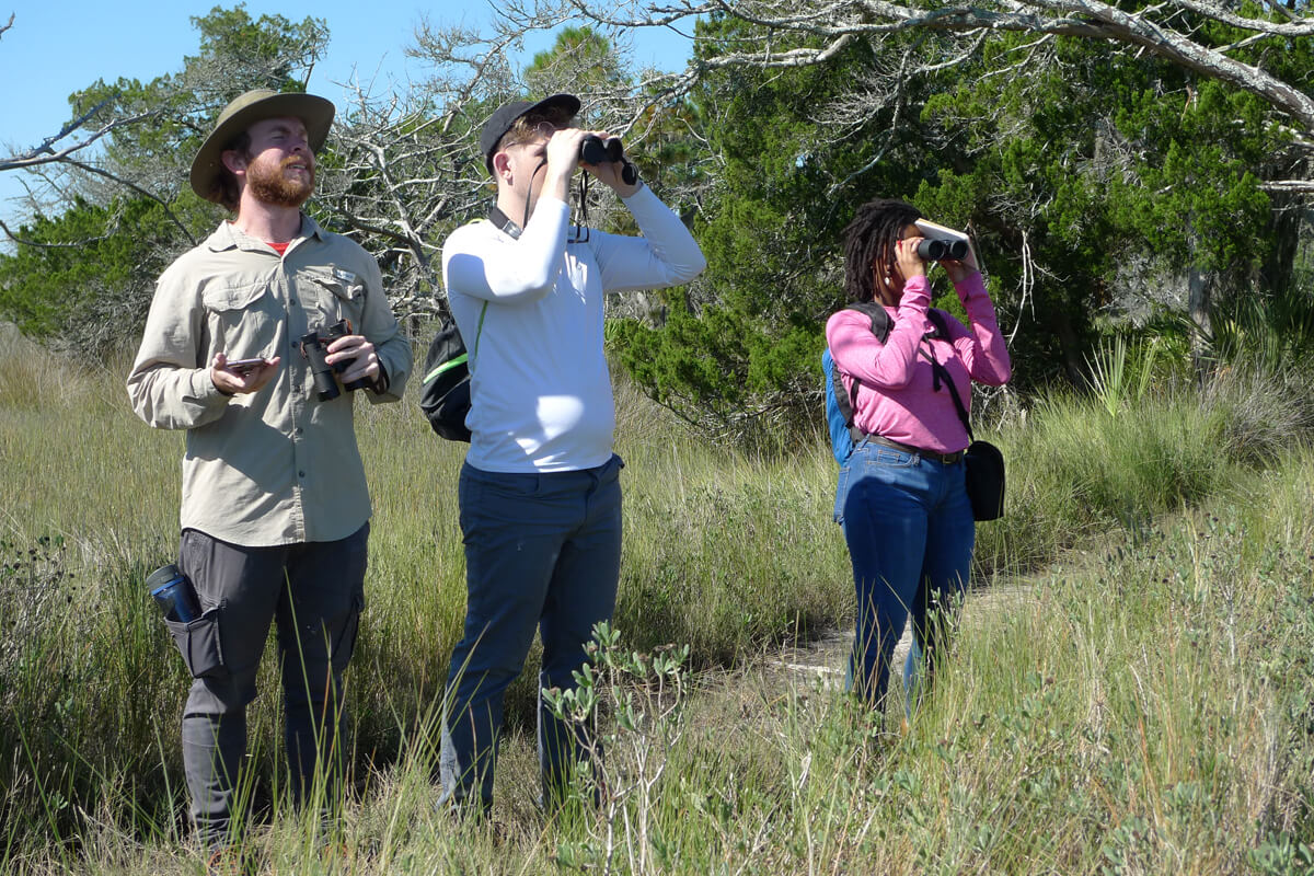 Doctoral students from the Odum School of Ecology observe the landscape of Sapelo Island, Georgia, as part of an ecology course in 2022. 