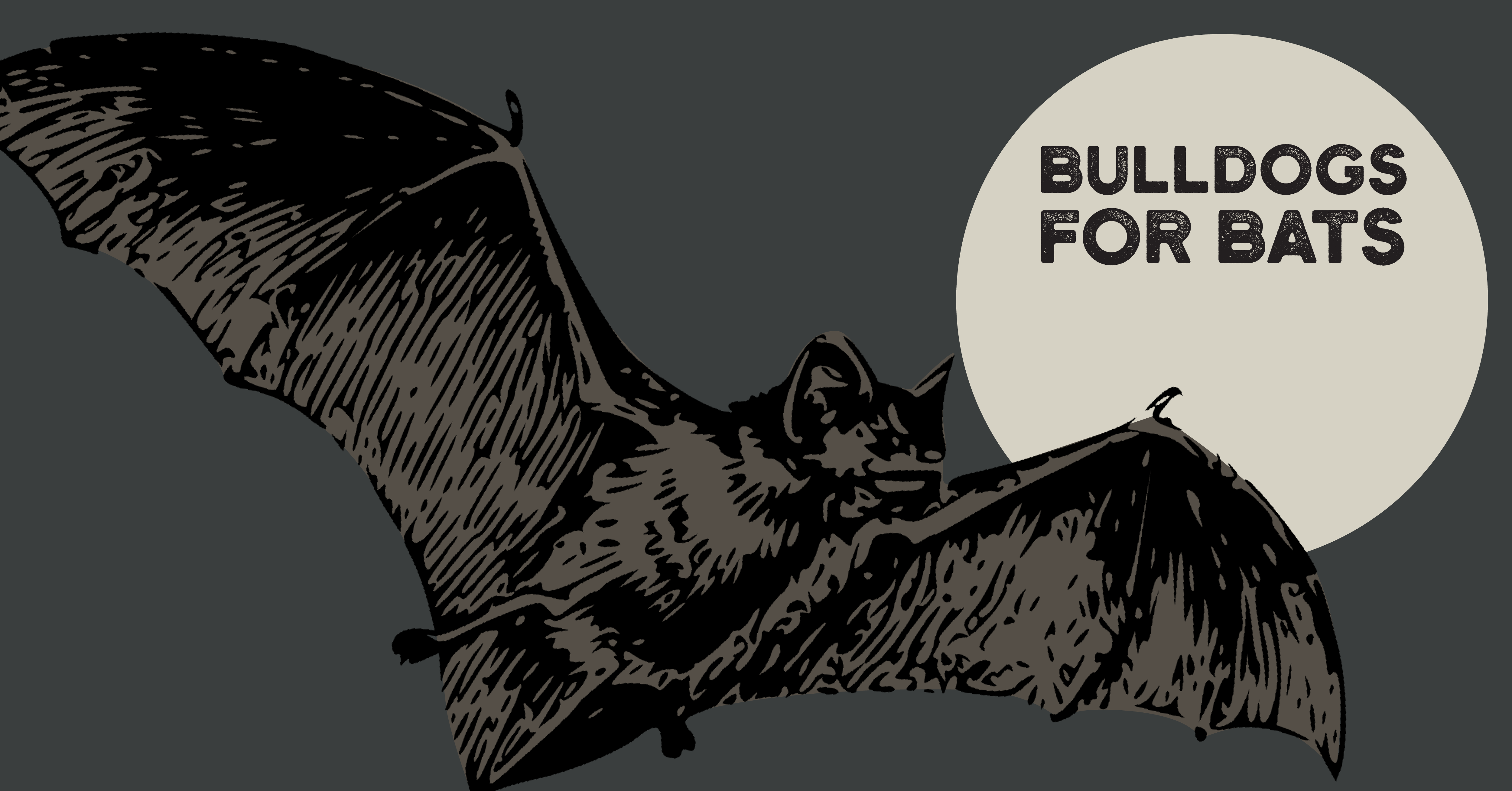 What do you really know about bats? UGA Alumni