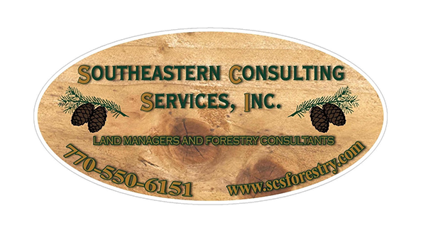 Southeastern Consulting
