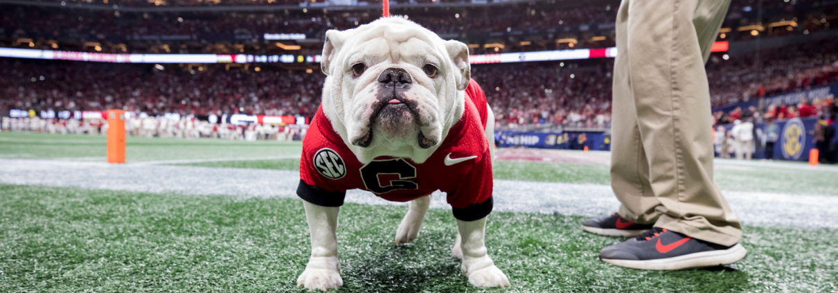 Uga in Sanford Stadium