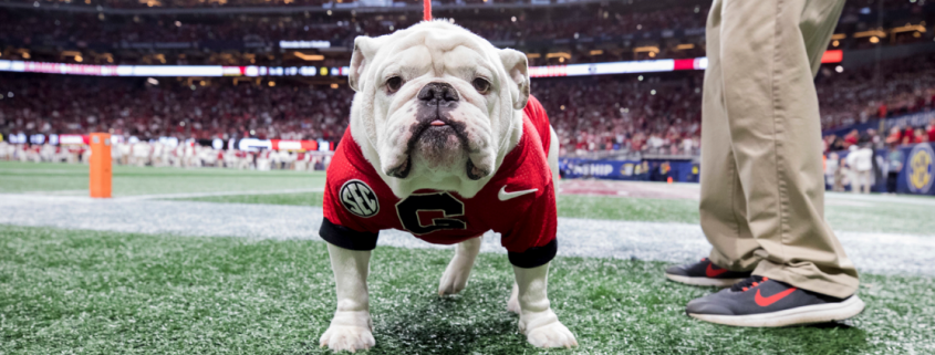 Uga in Sanford Stadium